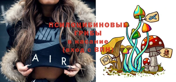 спиды Кукмор