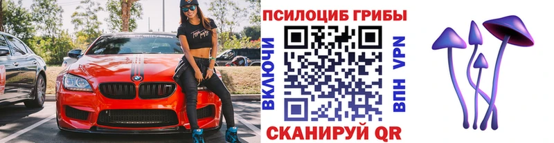 Купить  Себеж  Галлюциногенные грибы ЛСД 